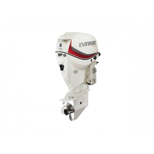 2020 Evinrude 115 HP E115DCX Outboard Motor