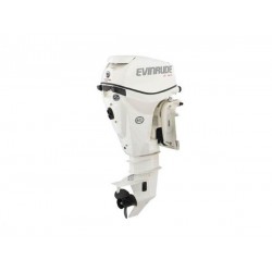 2019 Evinrude 15 HP E15HPSX Outboard Motor