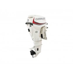 2019 Evinrude 25 HP E25DRS Outboard Motor