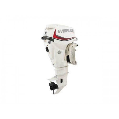 2019 Evinrude 25 HP E25DPSL Outboard Motor