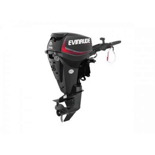 2019 Evinrude 25 HP E25DRGL Outboard Motor