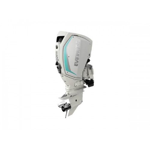 2020 Evinrude 250 H.O. H250HWXF Outboard Motor