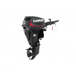 2019 Evinrude 30 HP E30DGTL Outboard Motor
