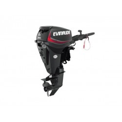 2019 Evinrude 30 HP E30DRG Outboard Motor