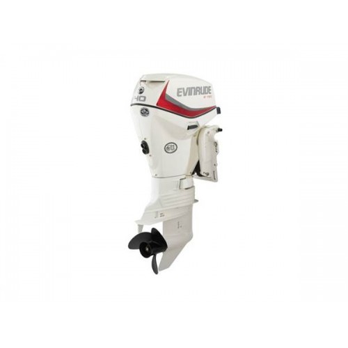 2019 Evinrude 40 HP E40DSL Outboard Motor