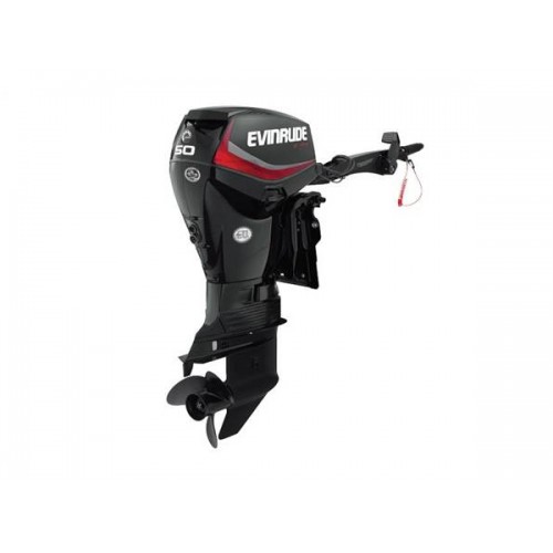 2019 Evinrude 50 HP E50DPGL Outboard Motor