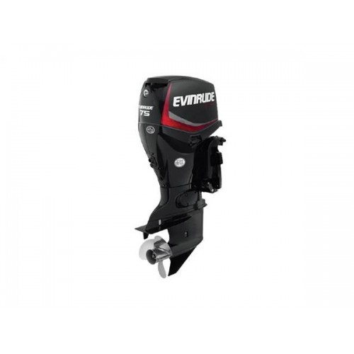 2019 Evinrude 75 HP E75DPGL Outboard Motor