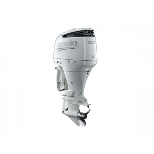 2019 Suzuki 250 HP DF250APXW2 Outboard Motor