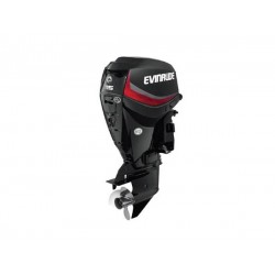 2020 Evinrude 115 HP E115DGL Outboard Motor