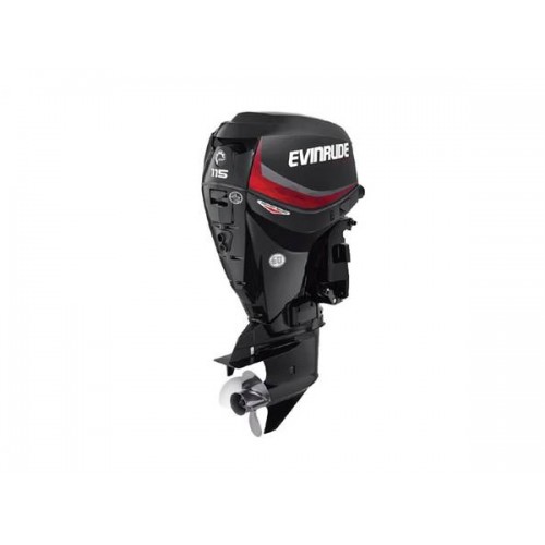 2020 Evinrude 115 HP E115GNL Outboard Motor