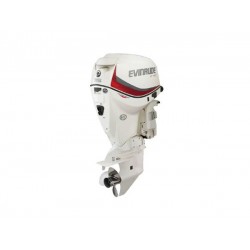 2020 Evinrude 115 HP E115SNL Outboard Motor