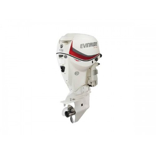 2020 Evinrude 115 HP E115SNL Outboard Motor