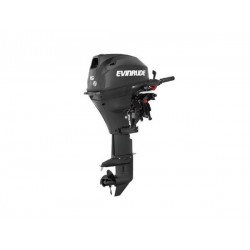 2020 Evinrude 15 HP E15TEG4 Outboard Motor