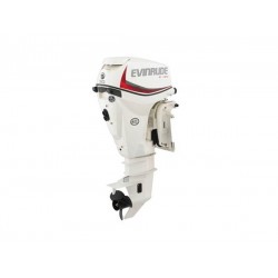 2019 Evinrude 30 HP E30DTSL Outboard Motor