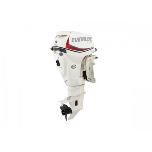 2020 Evinrude 30 HP E30DRS Outboard Motor