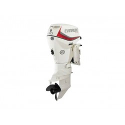 2019 Evinrude 50 HP E50DSL Outboard Motor