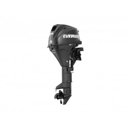 2020 Evinrude 9.8 HP E10RGL4 Outboard Motor