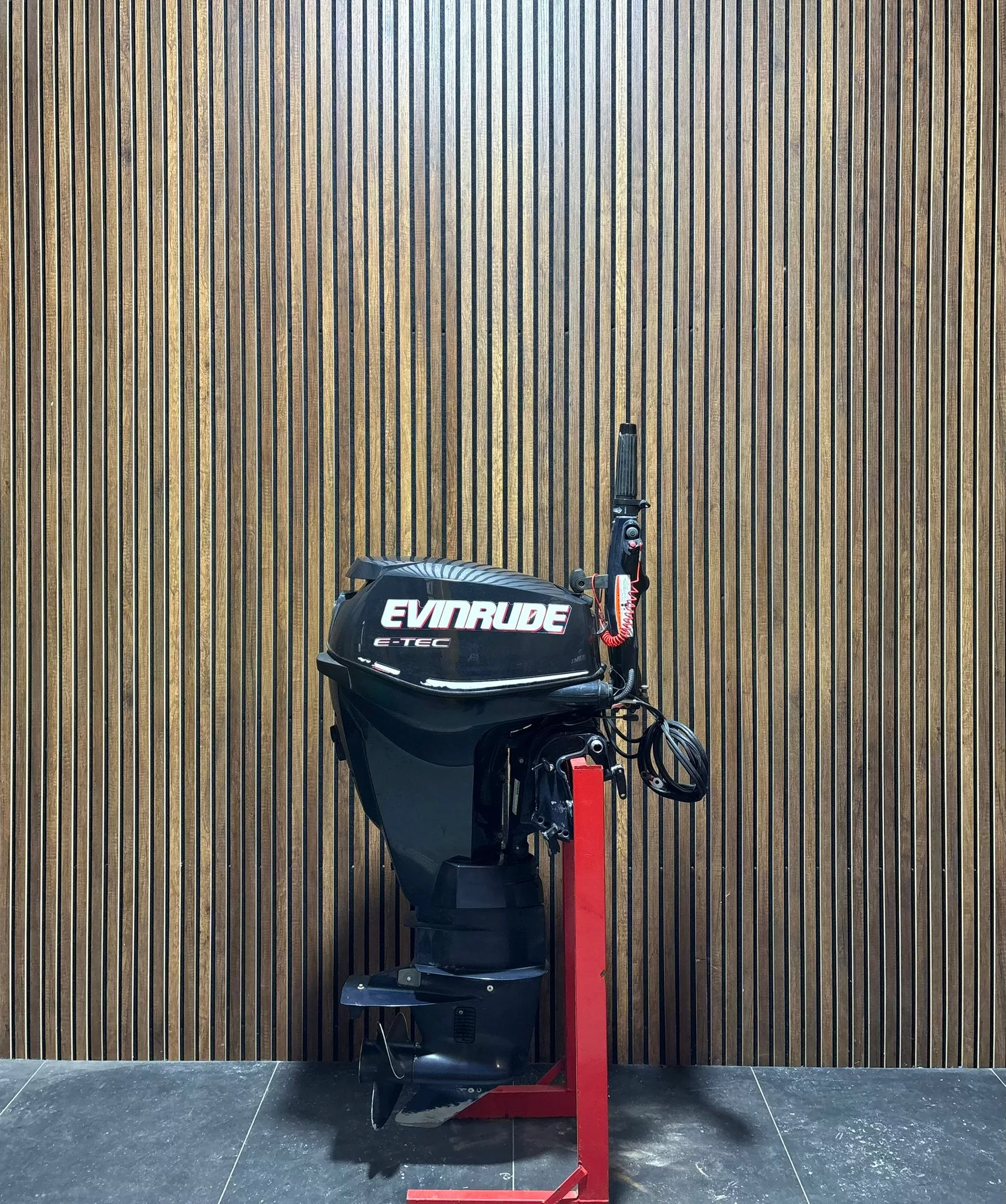 Evinrude E-TEC 25 HP EFI